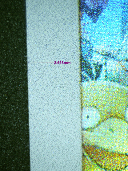 00429 PIKACHU