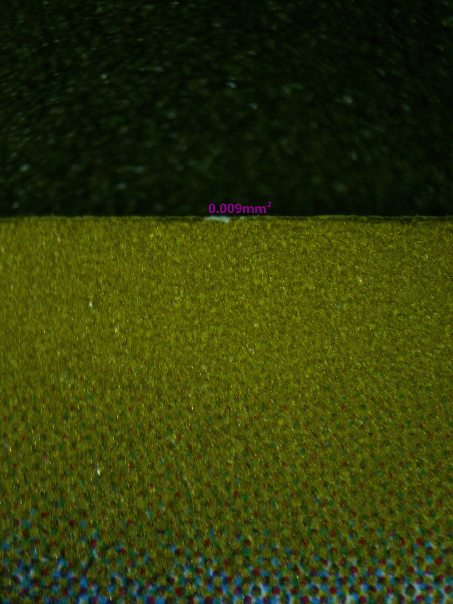 00440 PIDGEOTTO (JAPANESE) Grading Card