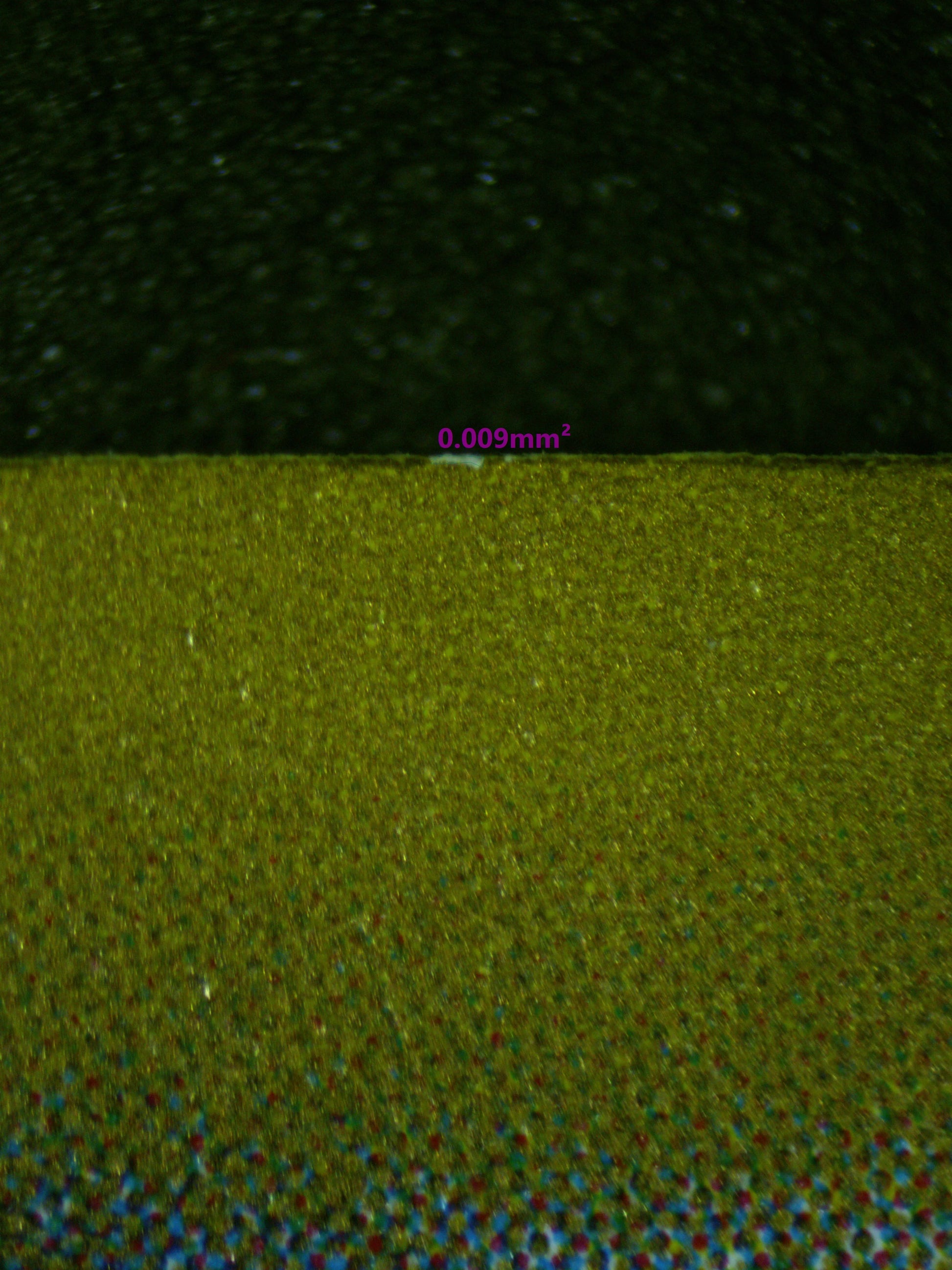 00440 PIDGEOTTO (JAPANESE) Grading Card