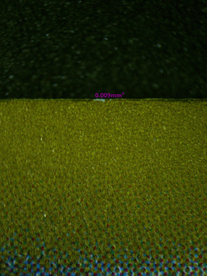 00440 PIDGEOTTO (JAPANESE) Grading Card