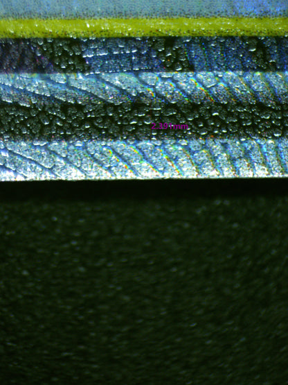 00443 MOLTES & ZAPDOS & ARTICUNO GX Grading Card