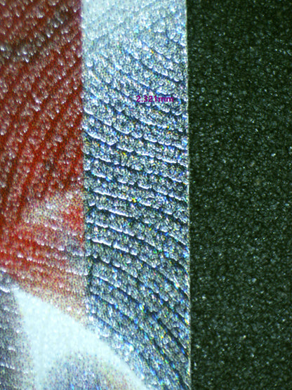 00446 GENGAR VMAX Grading Card