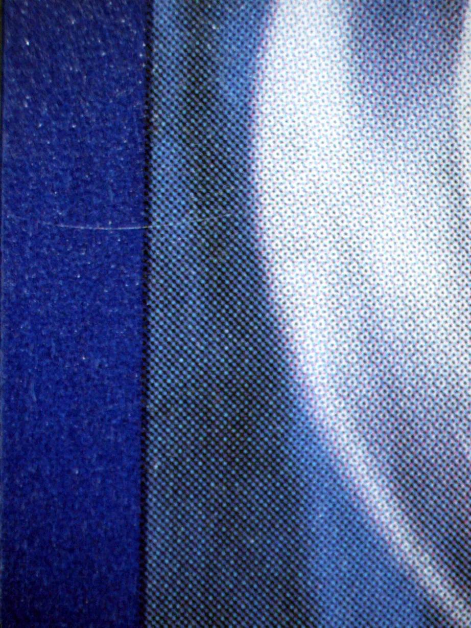 00451 CHARIZARD V Grading Card