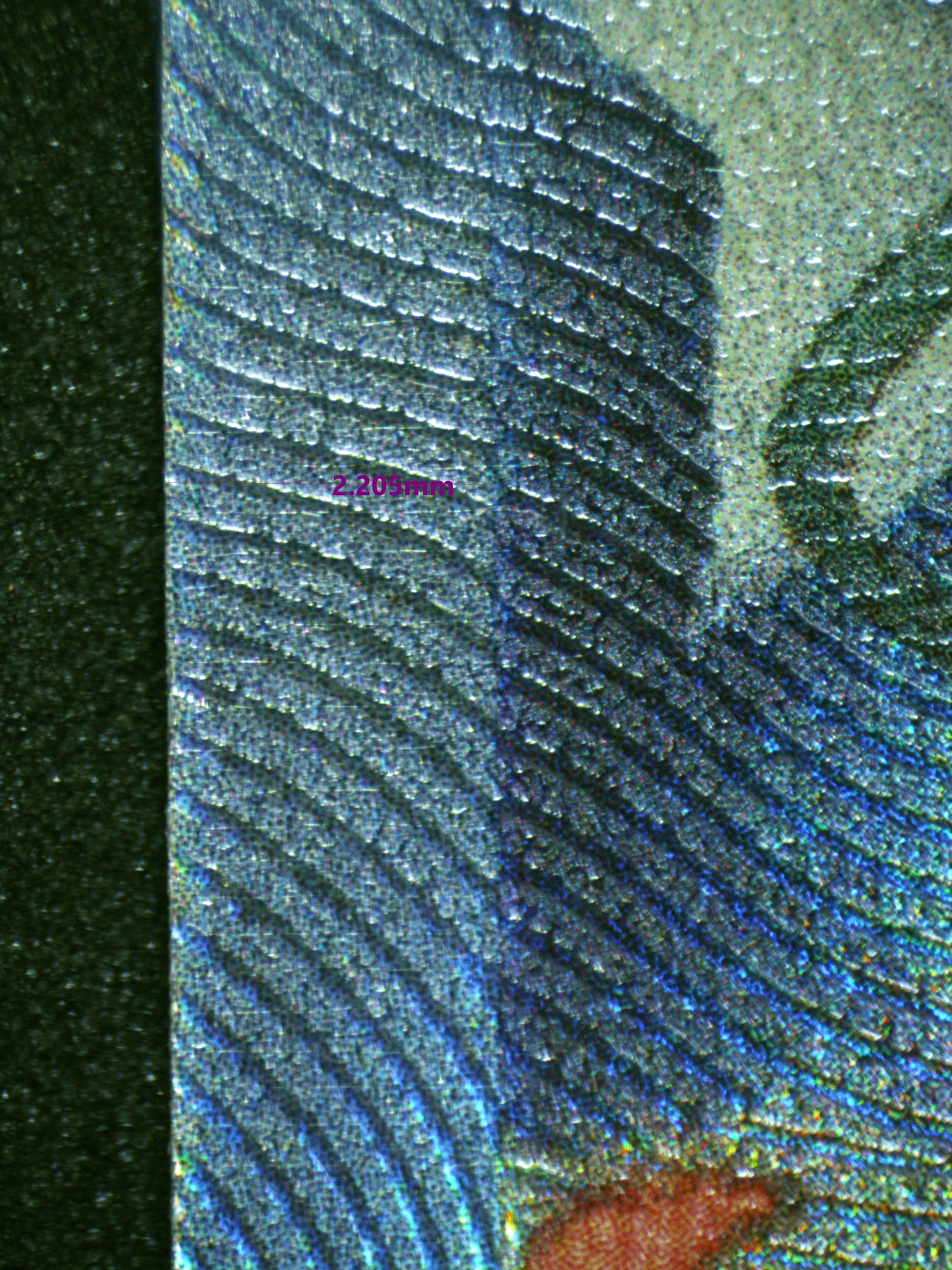 00451 CHARIZARD V Grading Card