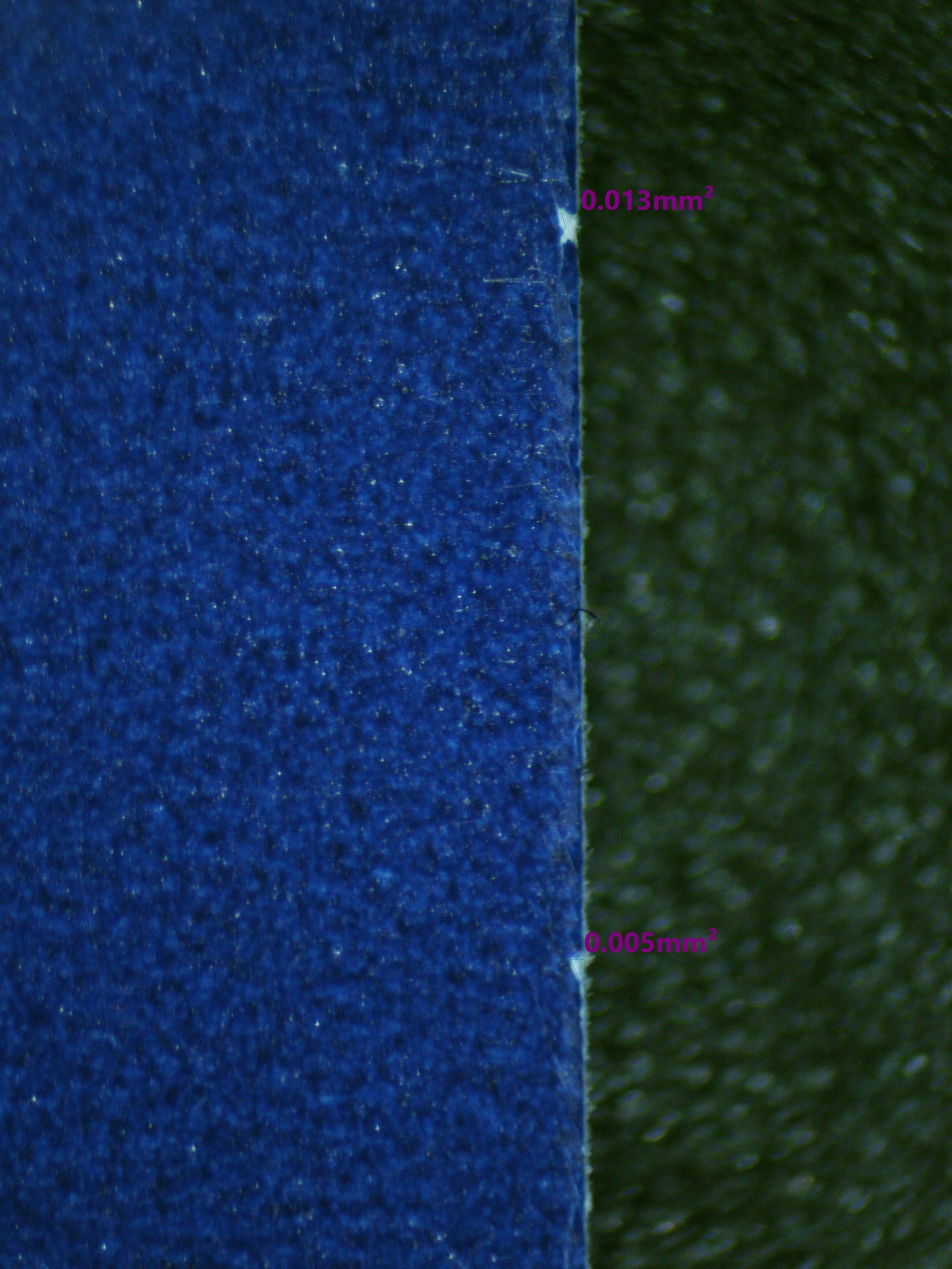 00466 WARTORTLE Grading Card