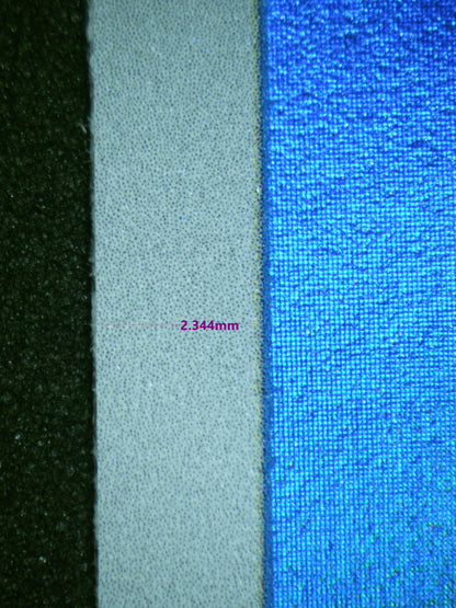 00466 WARTORTLE Grading Card