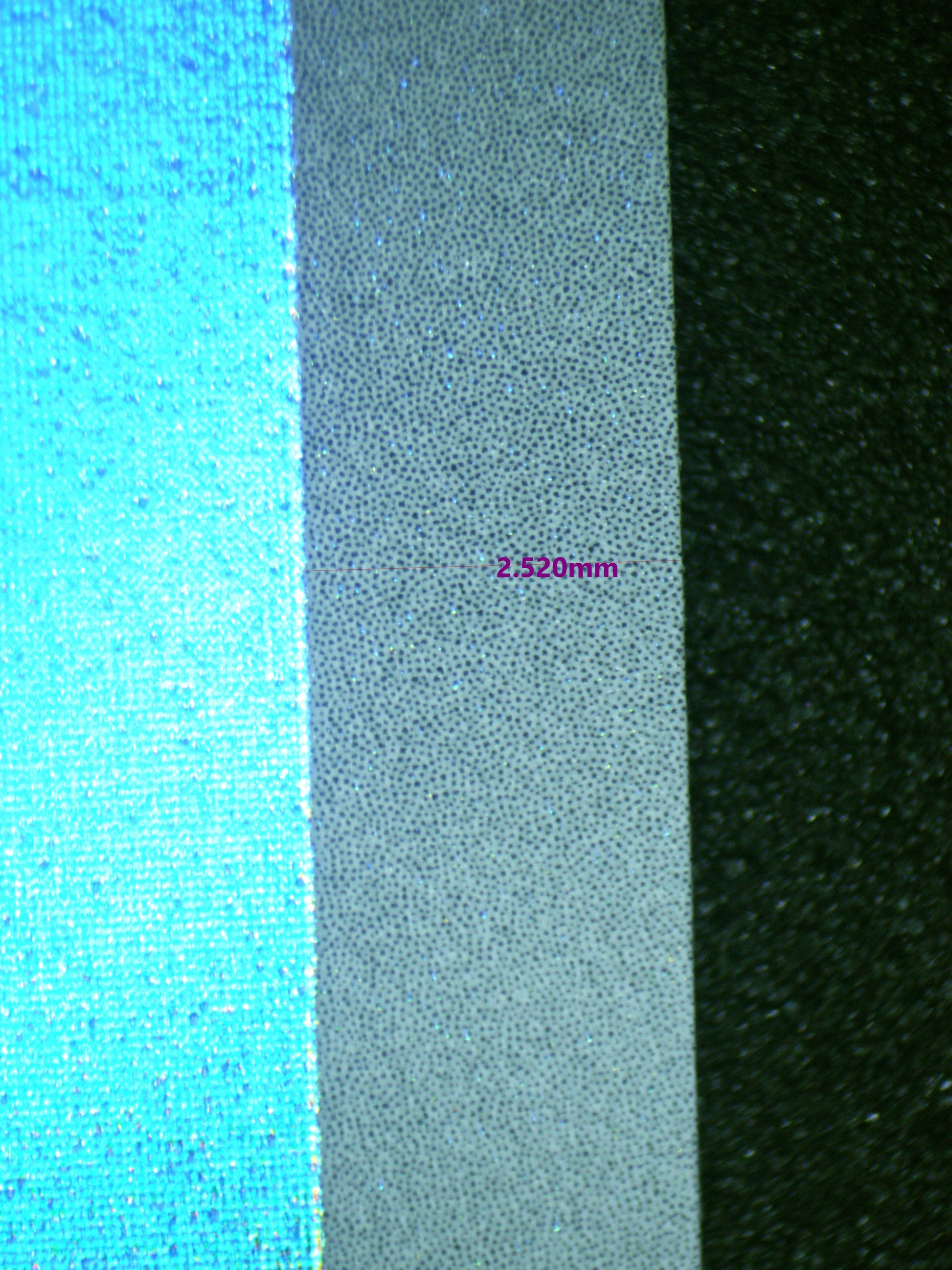 00466 WARTORTLE Grading Card