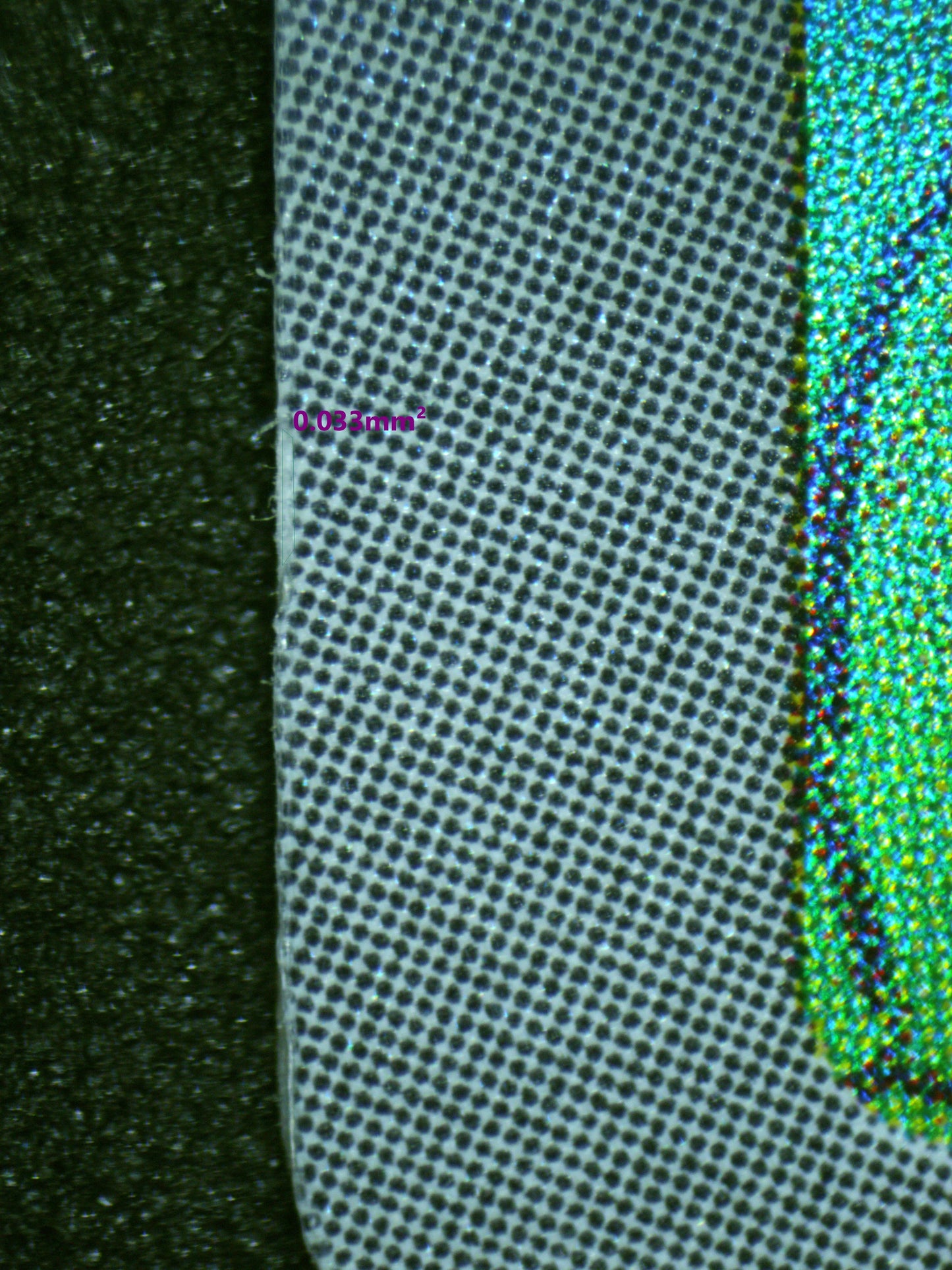 00483 IVYSAUR (JAPANESE) Grading Card