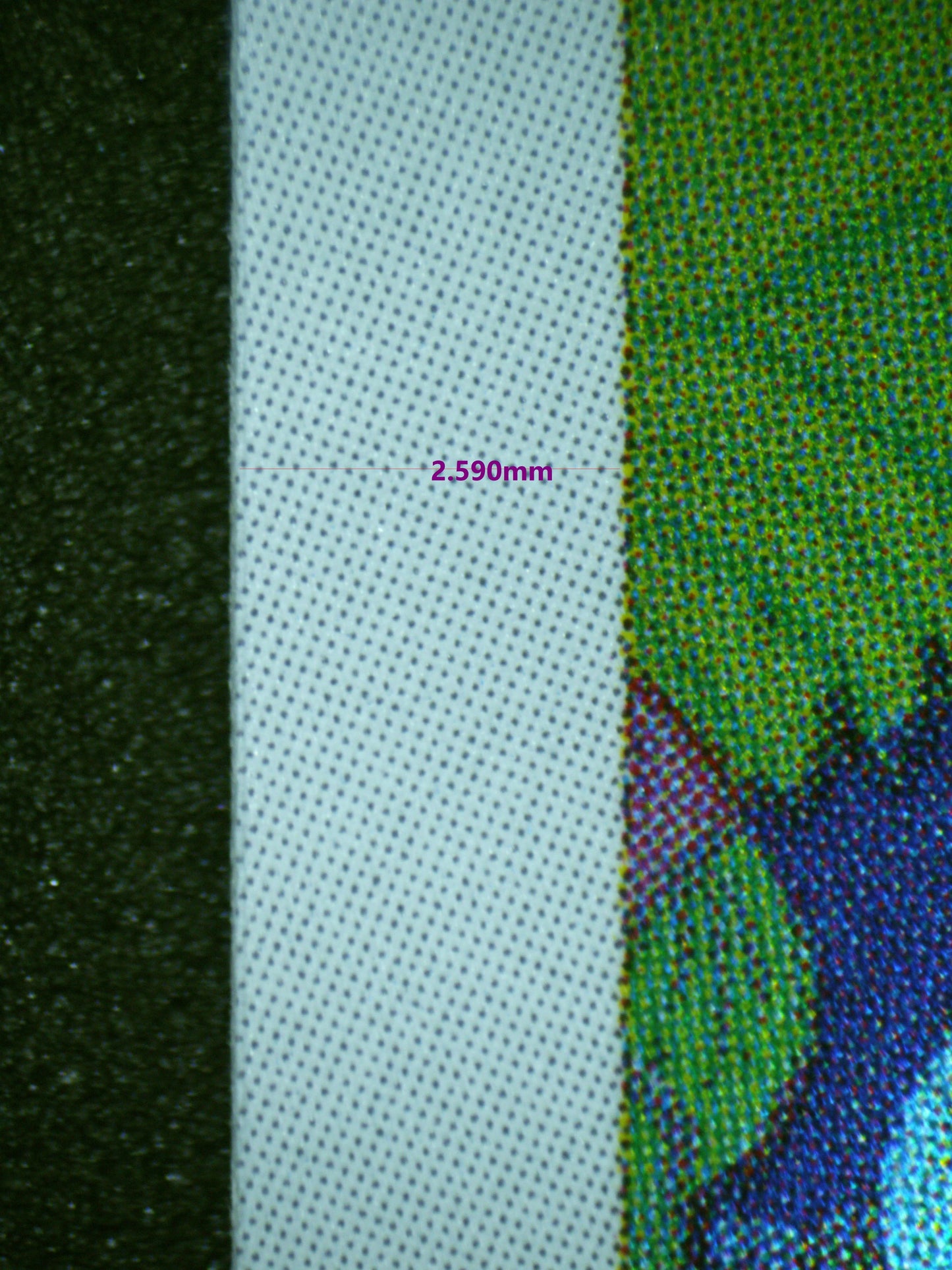 00483 IVYSAUR (JAPANESE) Grading Card