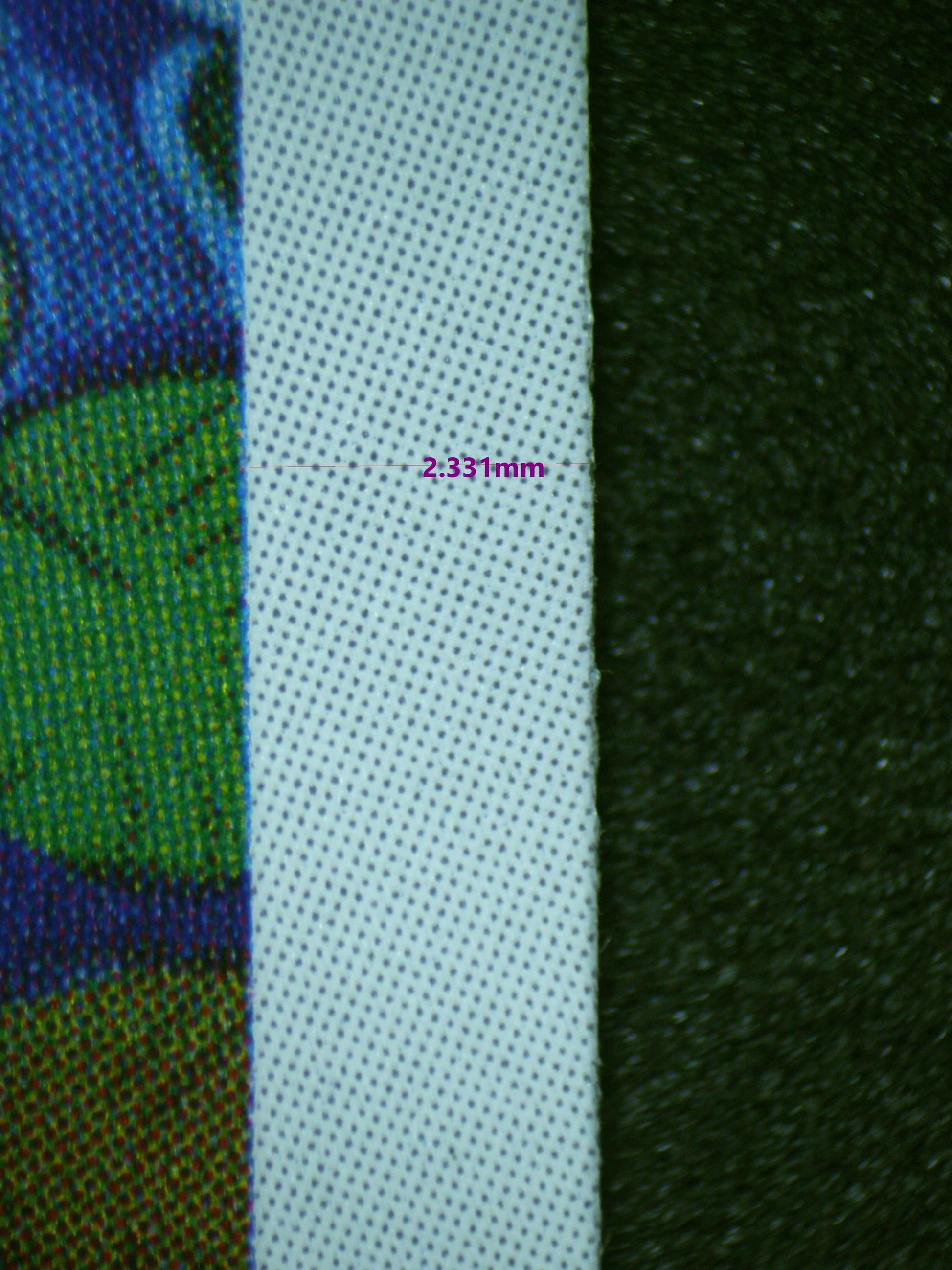 00483 IVYSAUR (JAPANESE) Grading Card