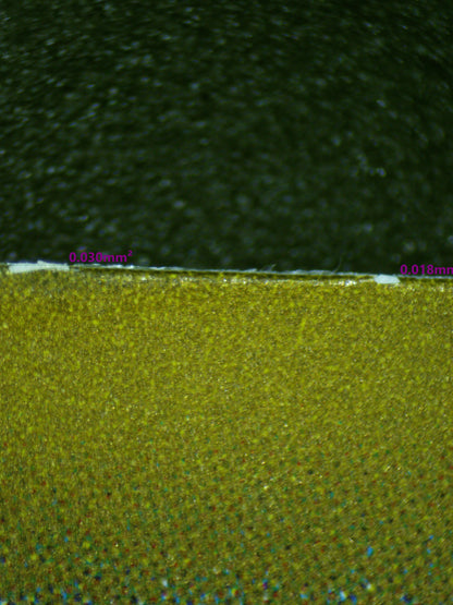 00484 CHARMANDER (JAPANESE) Grading Card