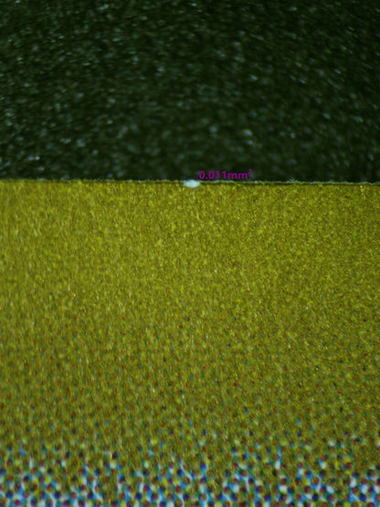 00497 GENGAR EX (JAPANESE) Grading Card