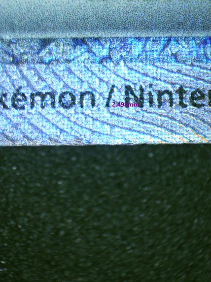 00509 DARKRAI VSTAR Grading Card