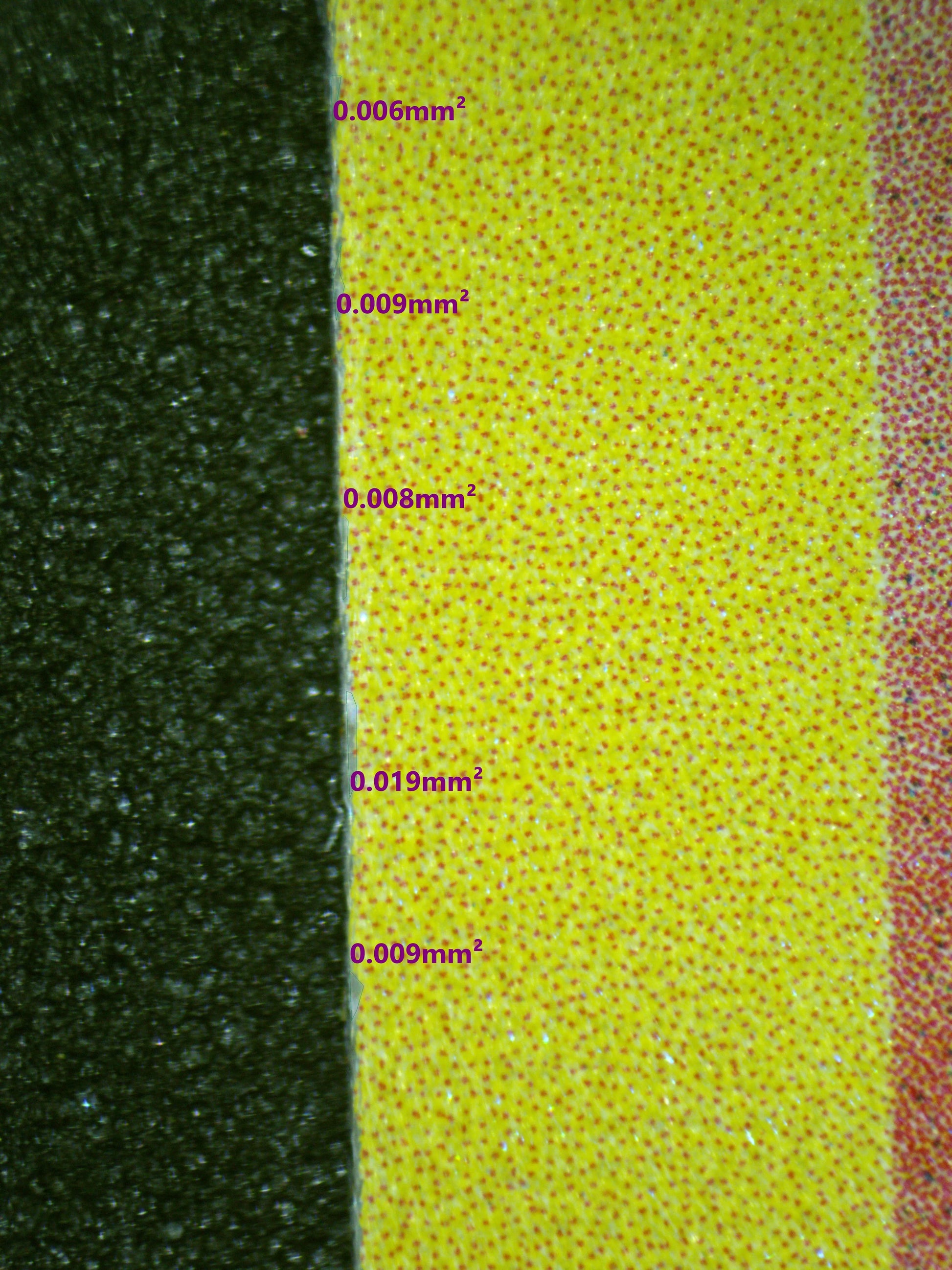 00843 CHARIZARD Grading Card