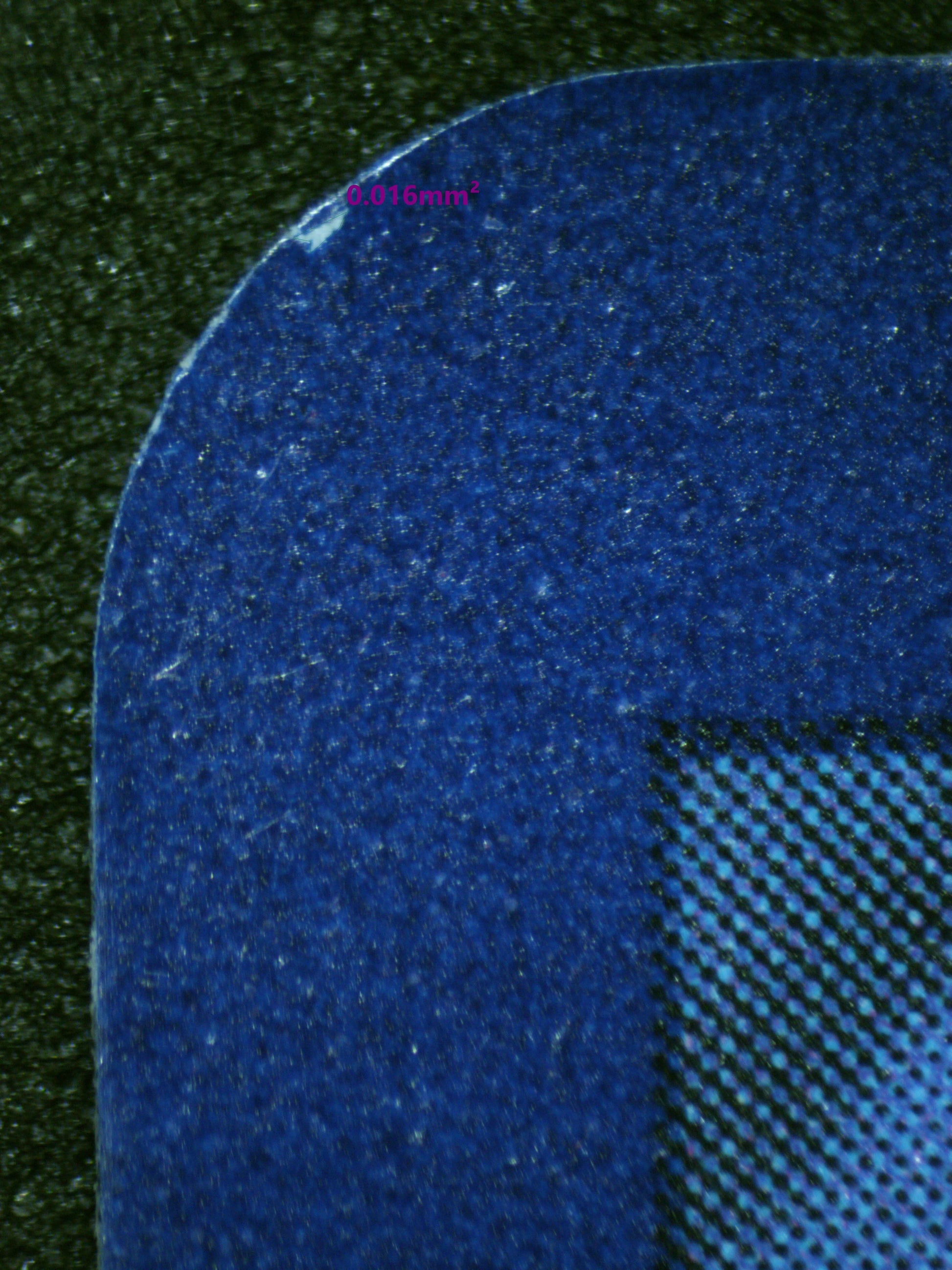 00875 BULBASAUR Grading Card