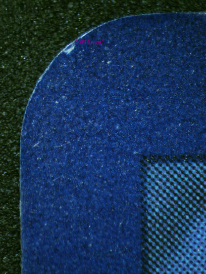 00875 BULBASAUR Grading Card