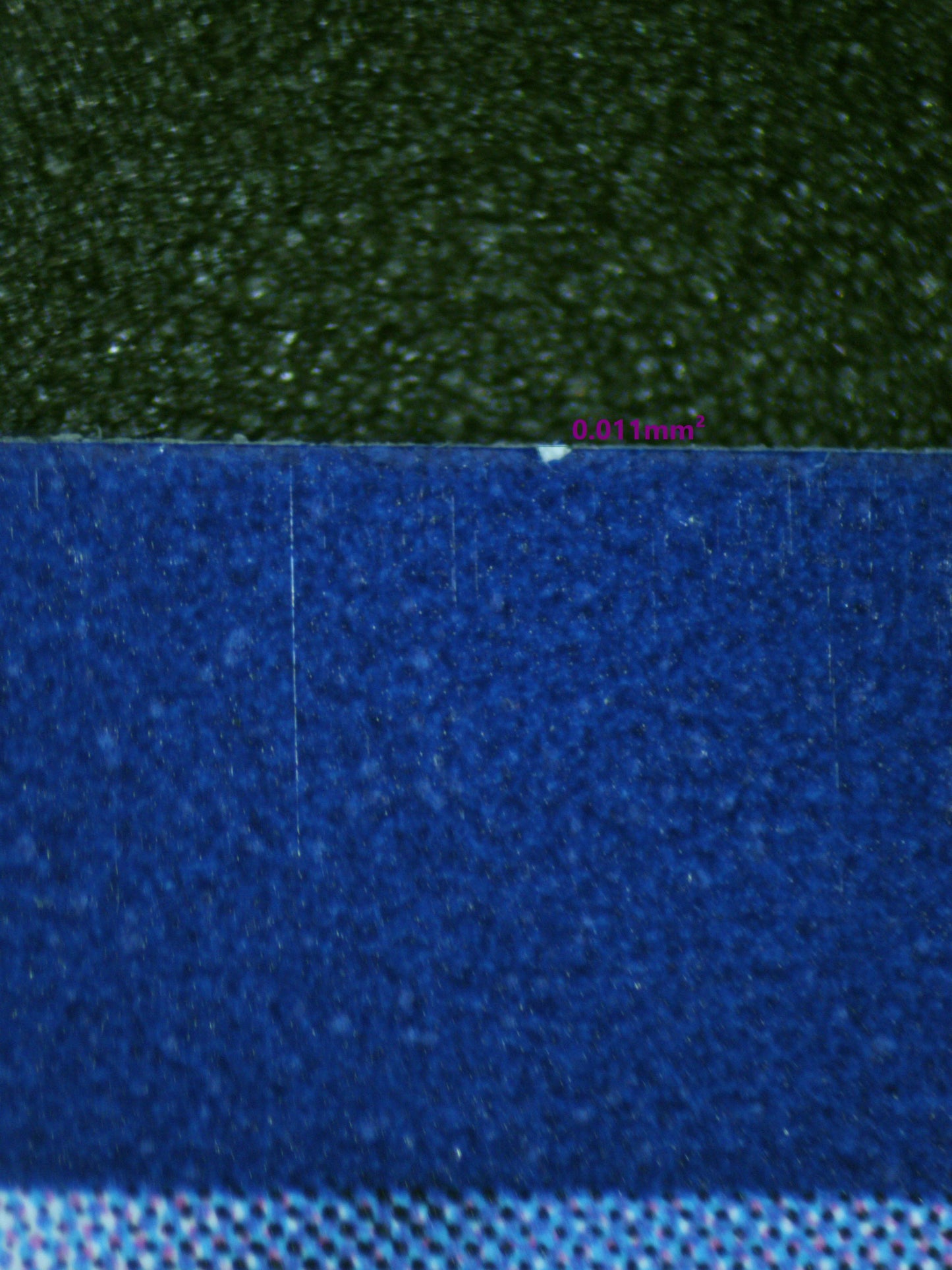 00880 MEW EX Grading Card