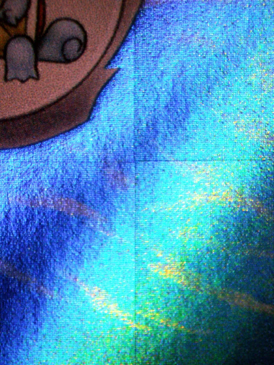 00897 WARTORTLE Grading Card