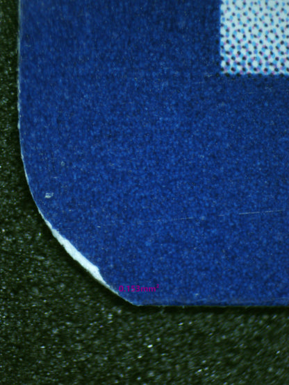 00897 WARTORTLE Grading Card