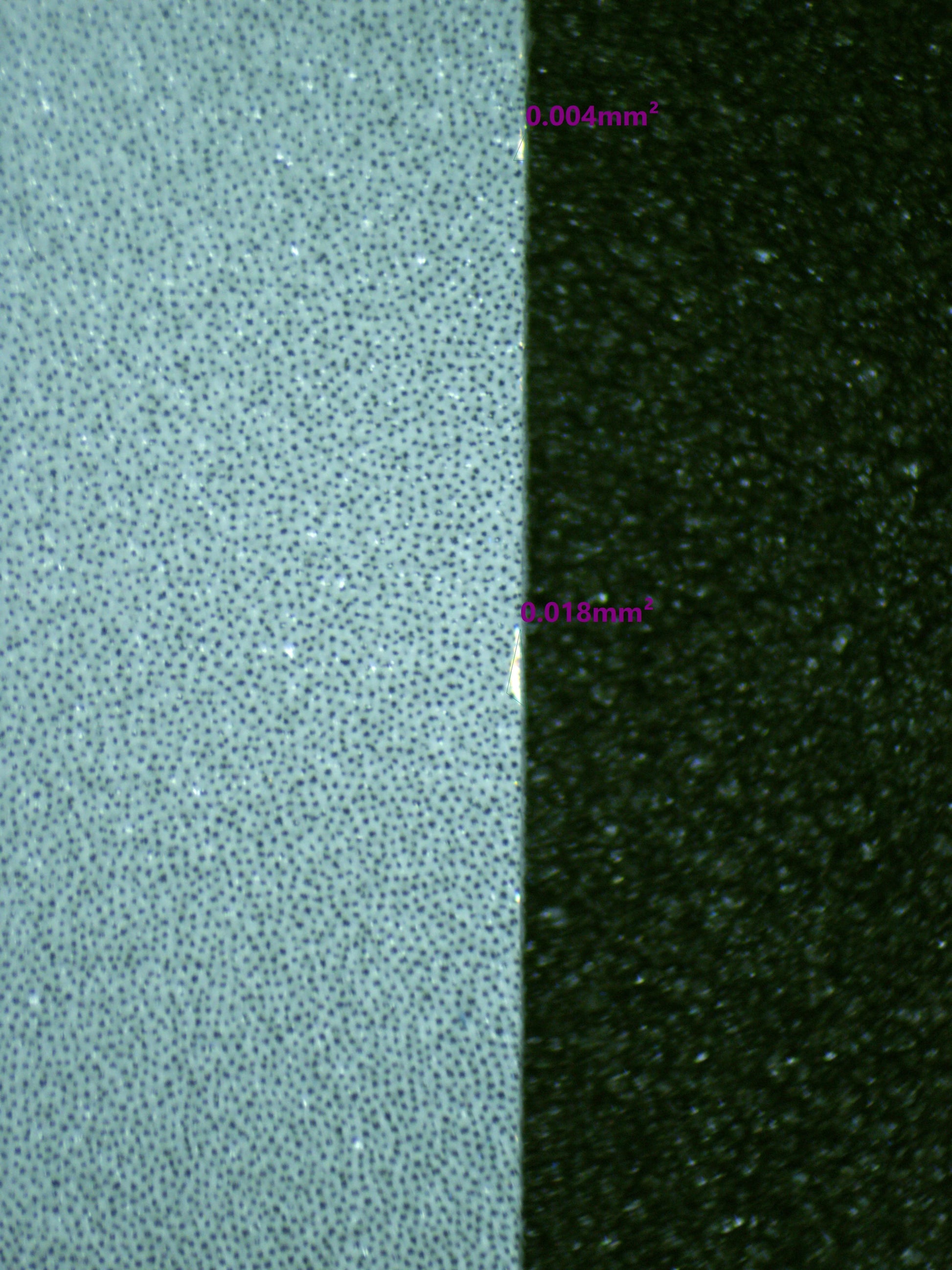 00897 WARTORTLE Grading Card