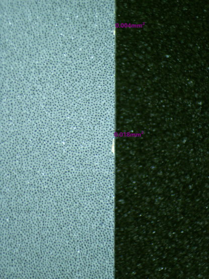 00897 WARTORTLE Grading Card