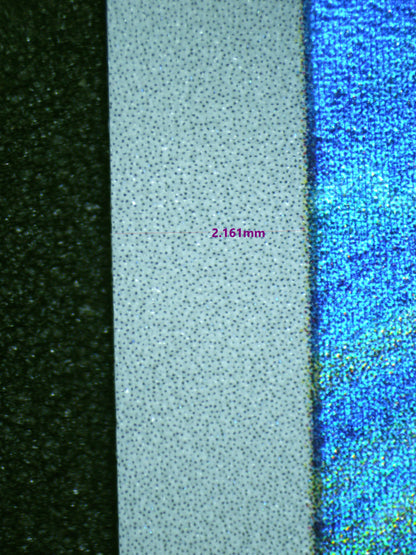 00897 WARTORTLE Grading Card