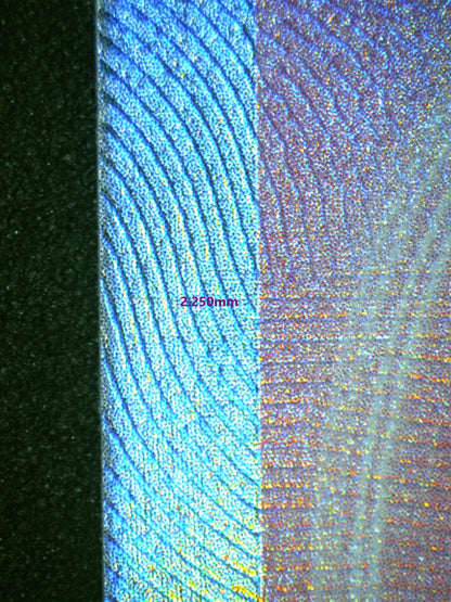 00908 MEW EX (SPANISH) Grading Card