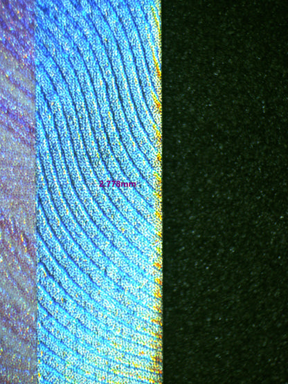 00908 MEW EX (SPANISH) Grading Card