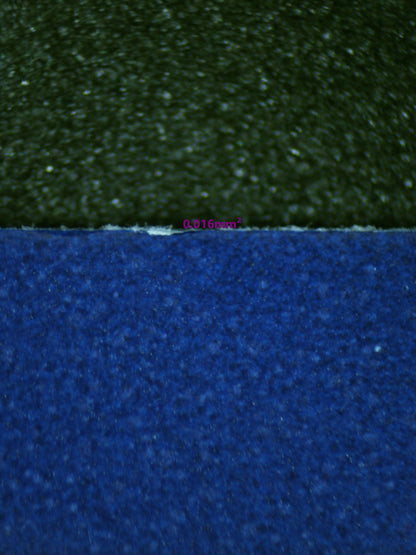 00915 ZAPDOS EX Grading Card