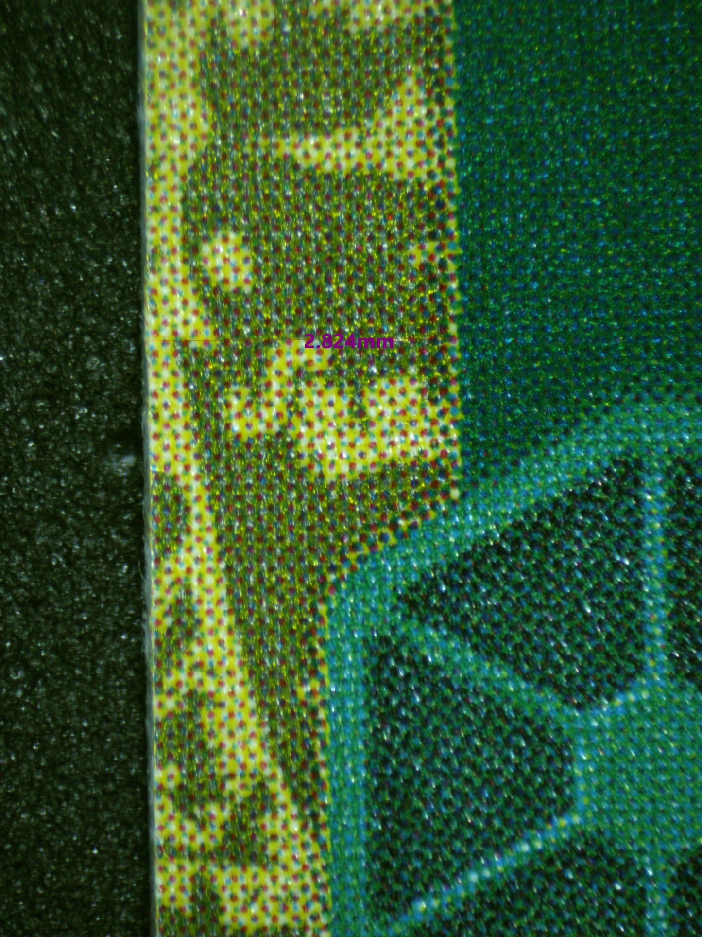 00559 SPIDERWEB Grading Card