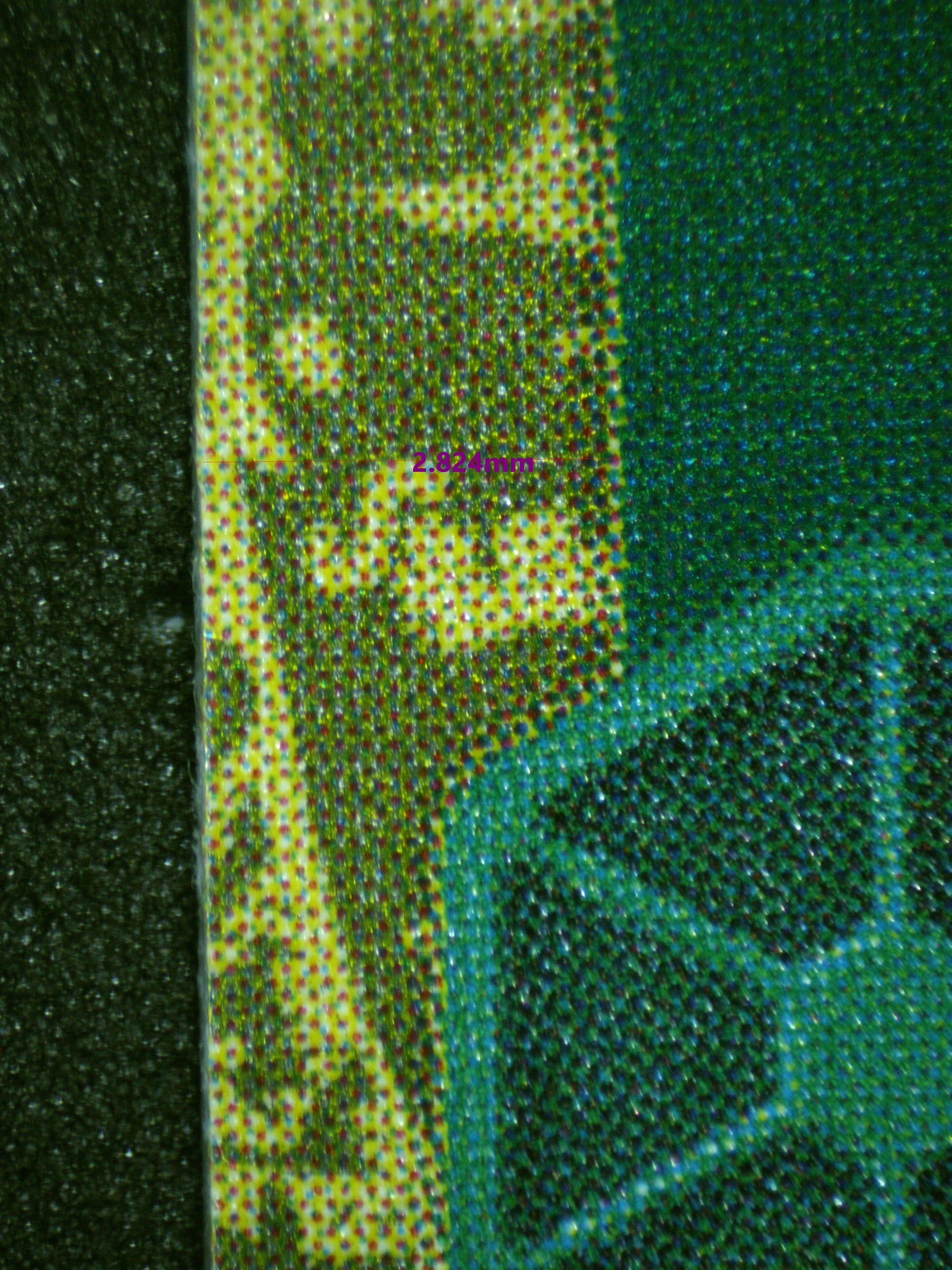 00559 SPIDERWEB Grading Card