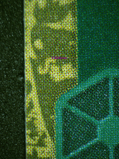 00559 SPIDERWEB Grading Card