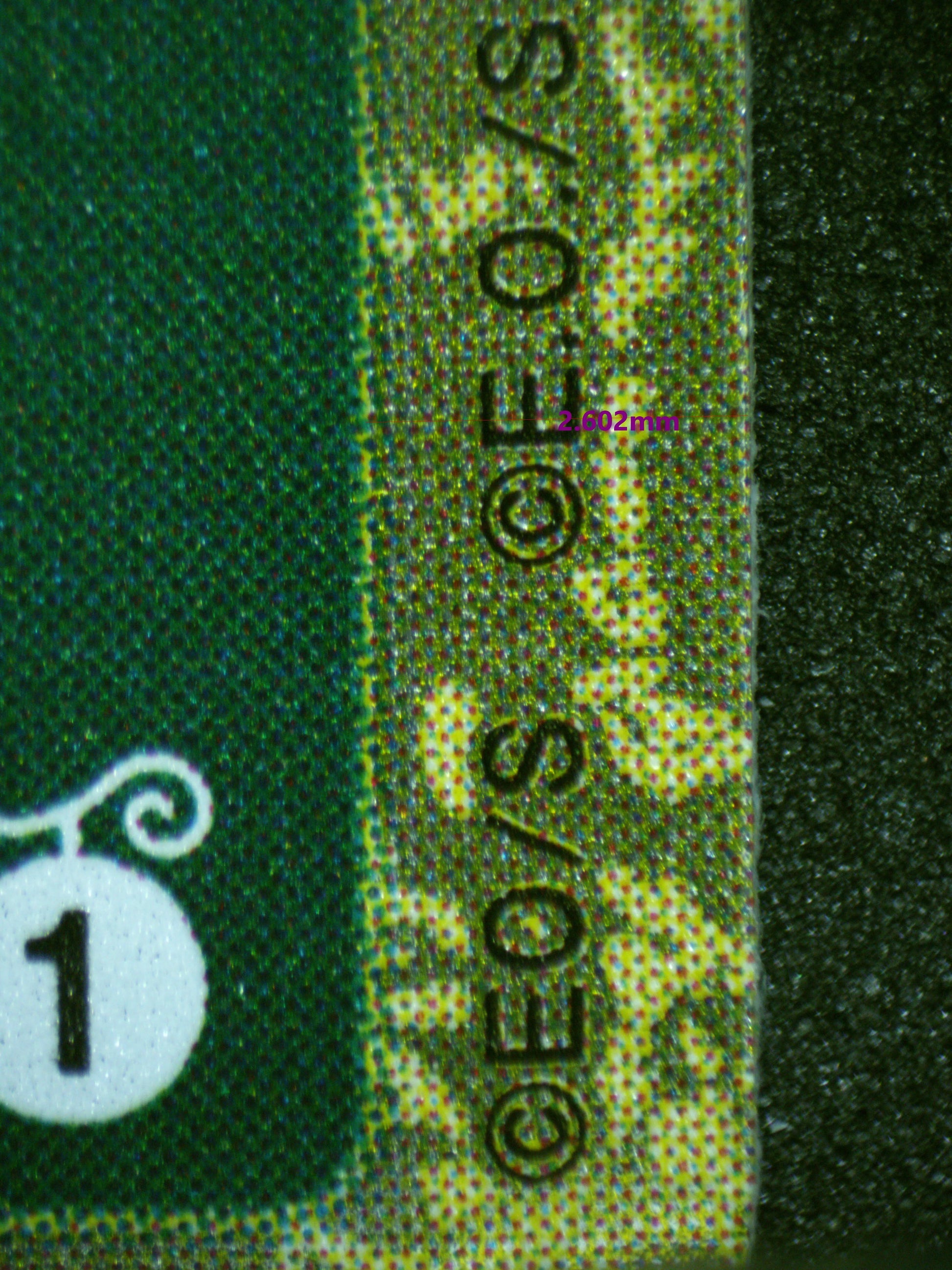 00559 SPIDERWEB Grading Card