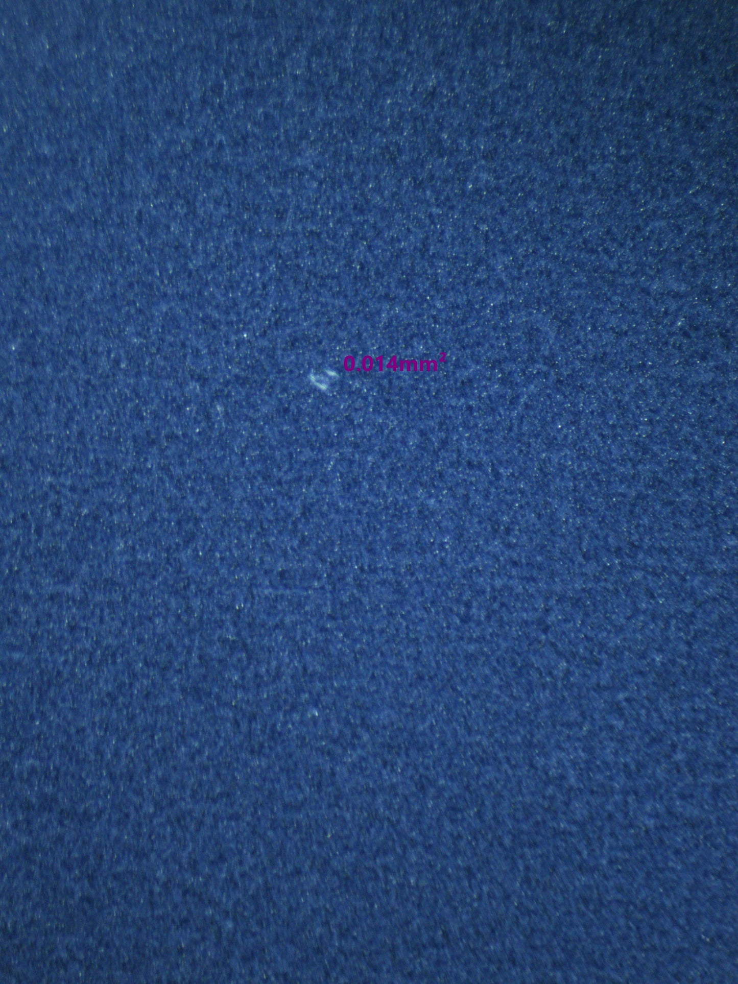 00579 WHO'S.WHO Grading Card