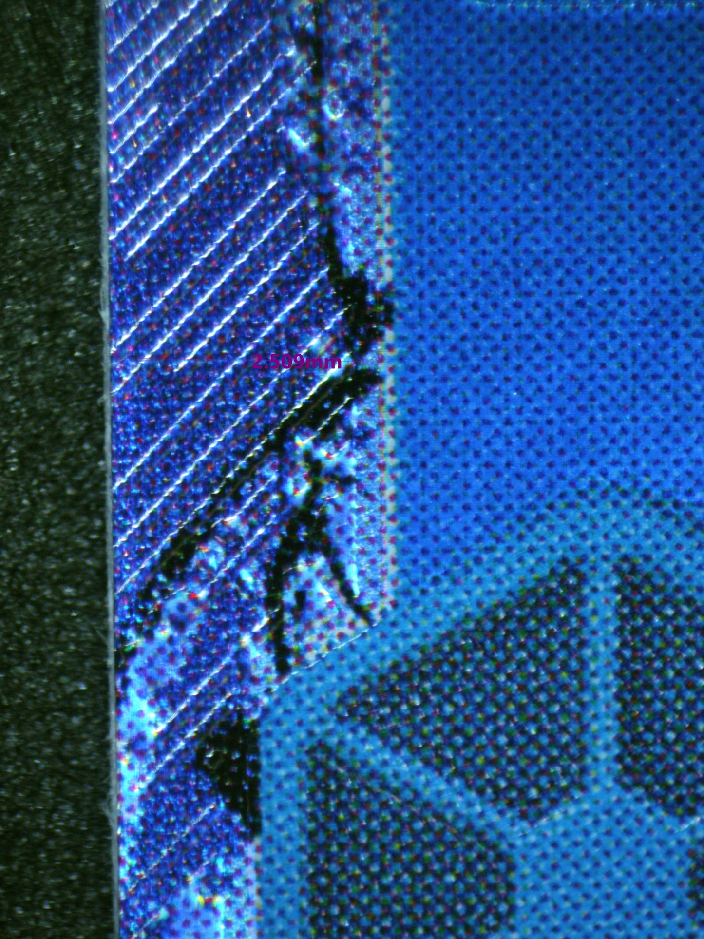 00579 WHO'S.WHO Grading Card