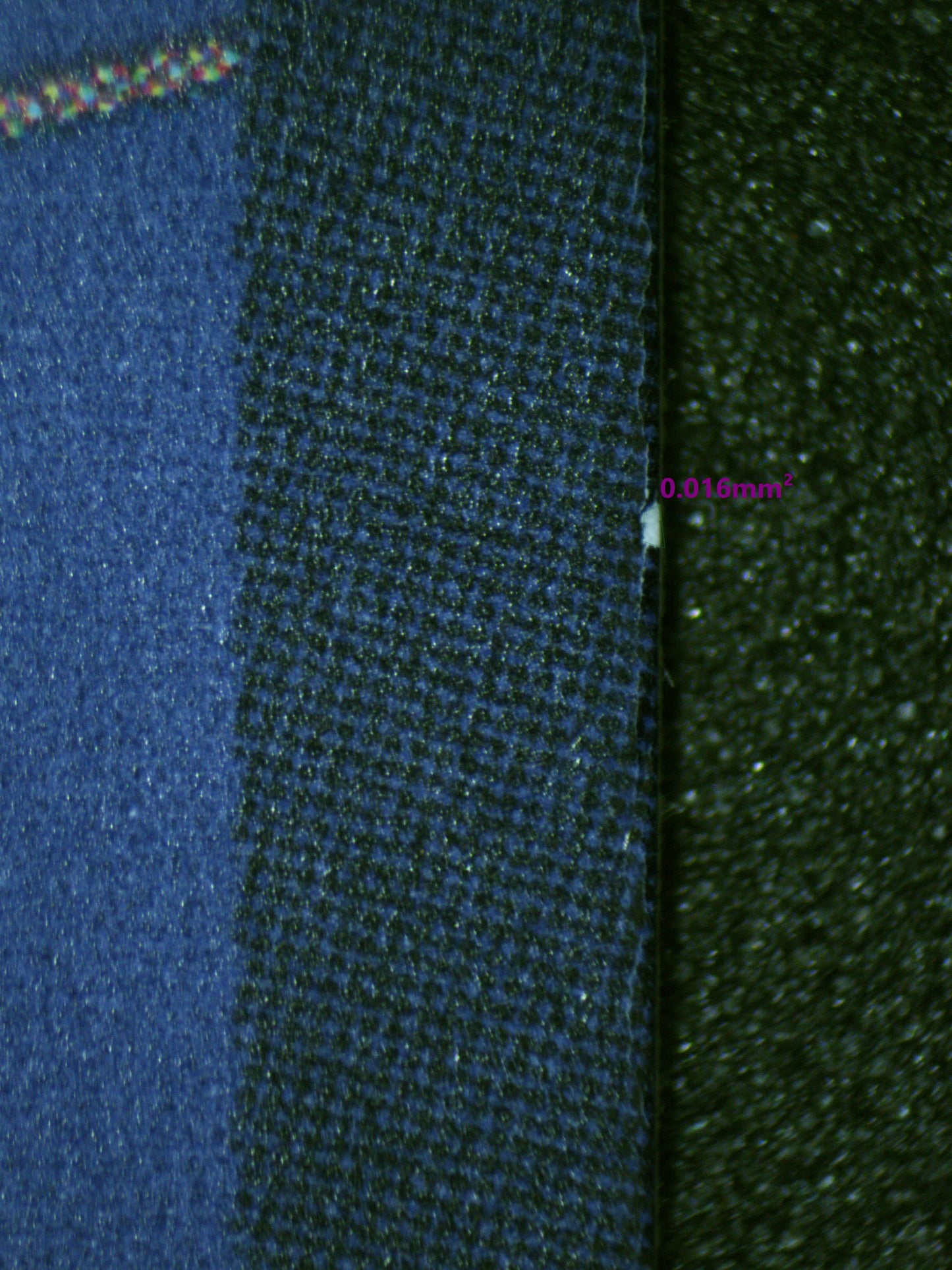 00592 BANANAGATOR Grading Card