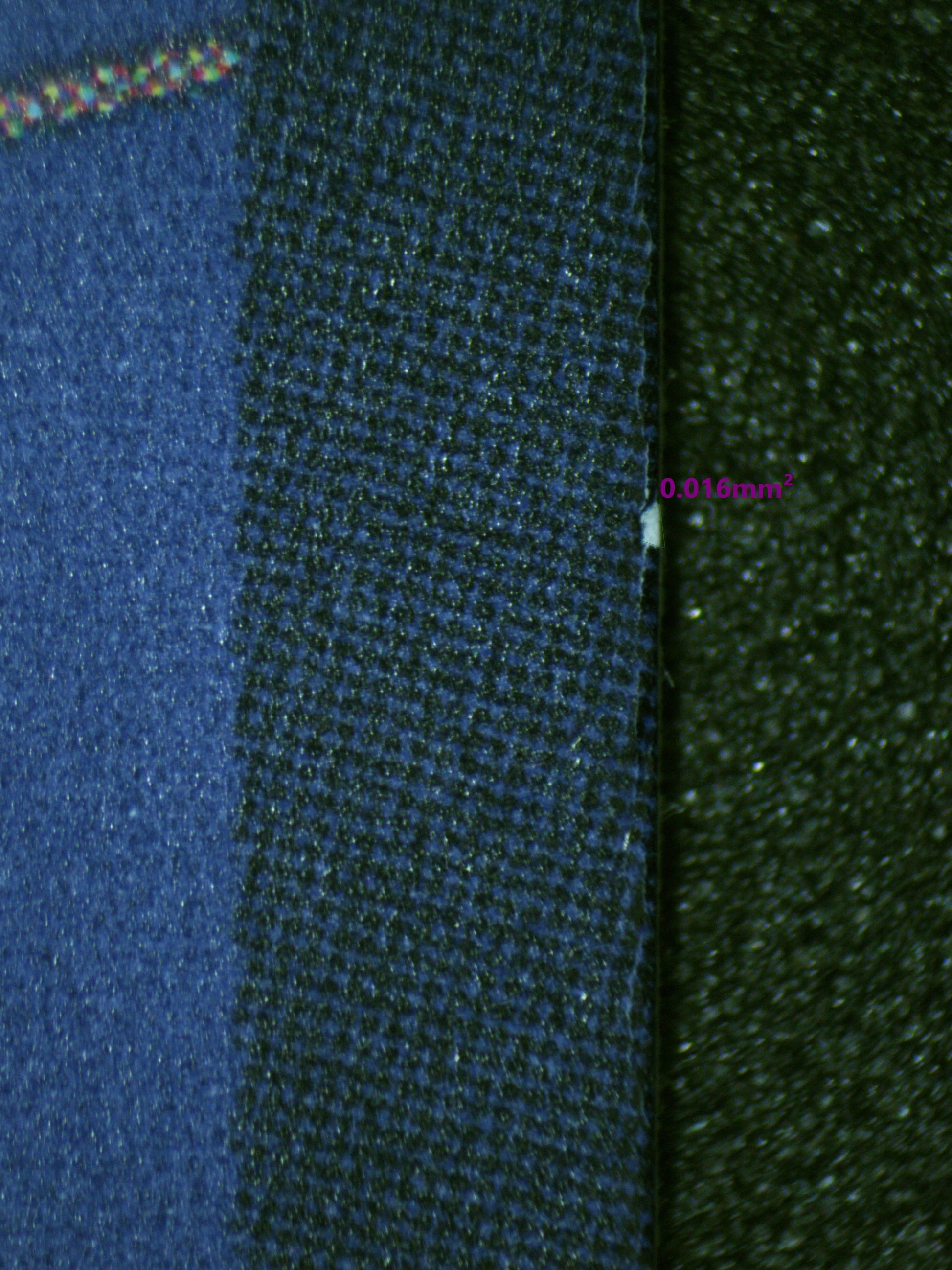 00592 BANANAGATOR Grading Card