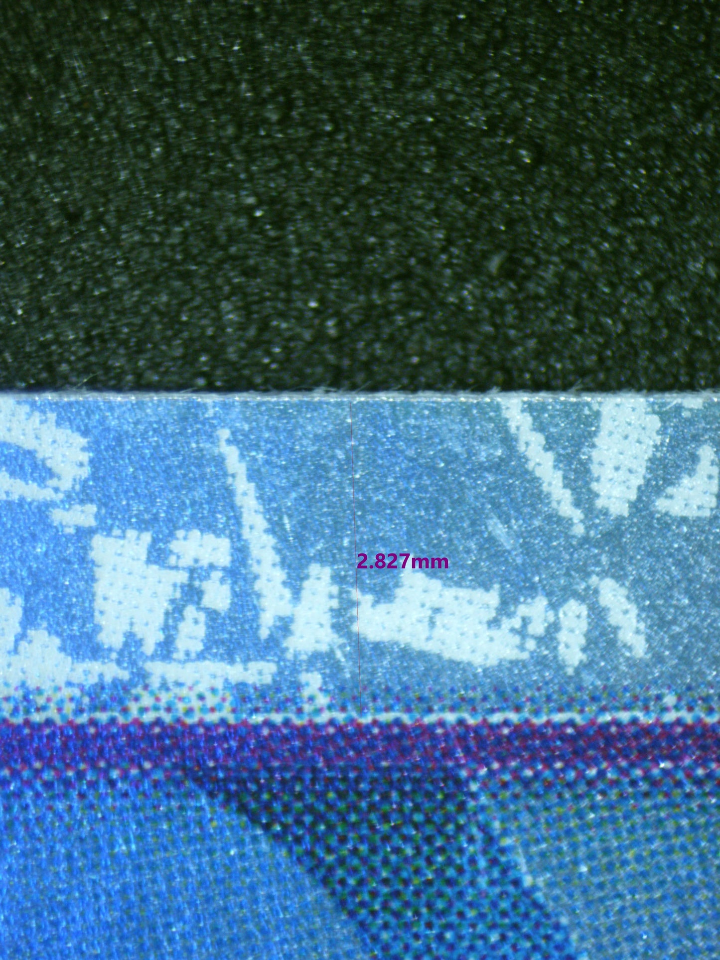 00594 MS. ALL SUNDAY Grading Card