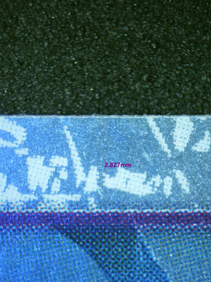 00594 MS. ALL SUNDAY Grading Card