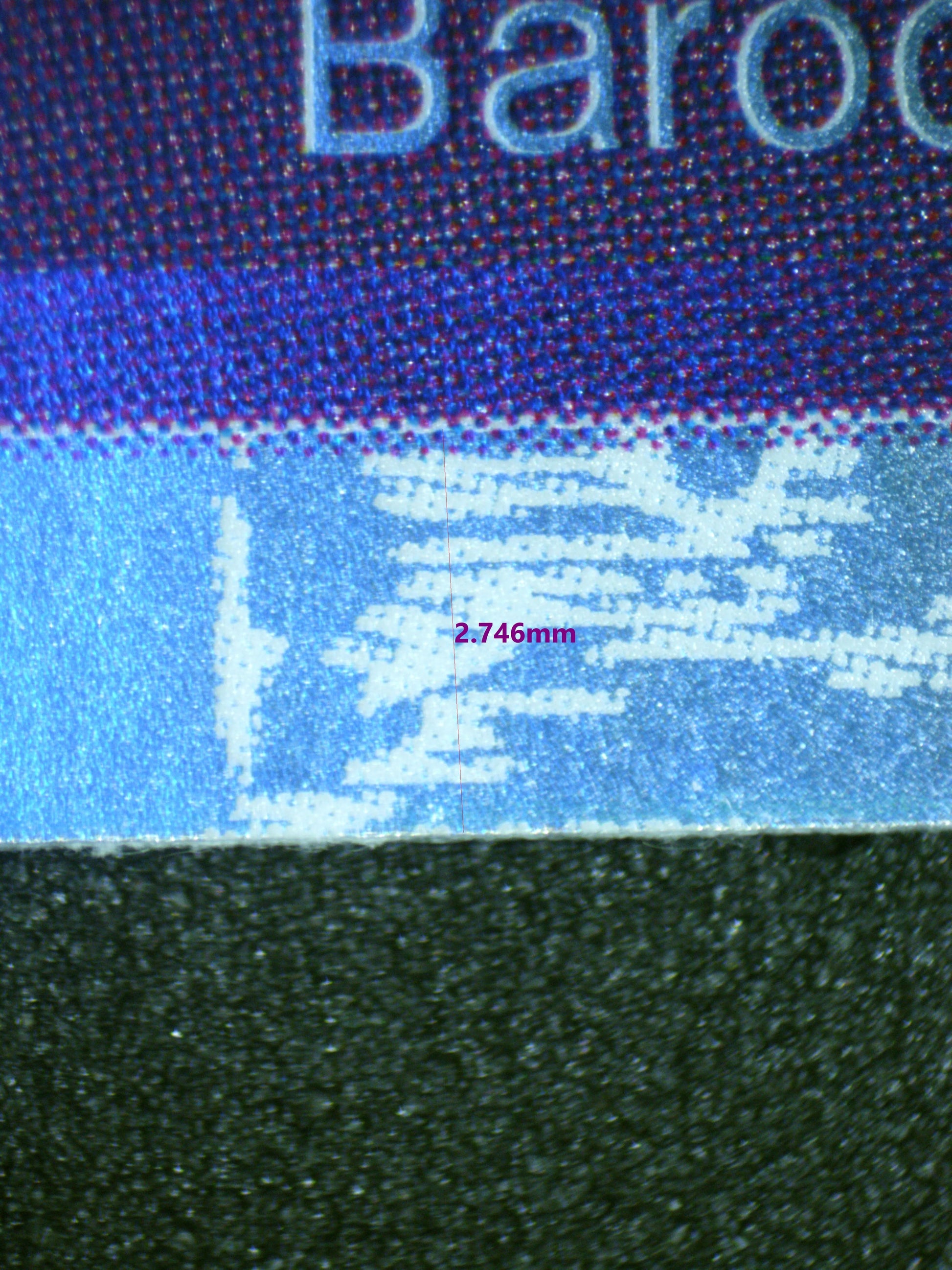 00594 MS. ALL SUNDAY Grading Card