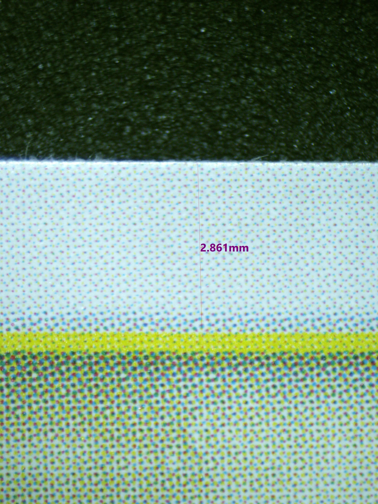 00640 KOUZUKI HIYORI Grading Card