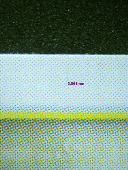 00640 KOUZUKI HIYORI Grading Card