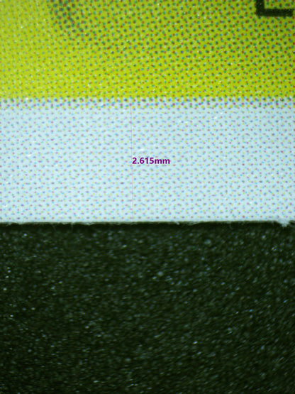 00640 KOUZUKI HIYORI Grading Card