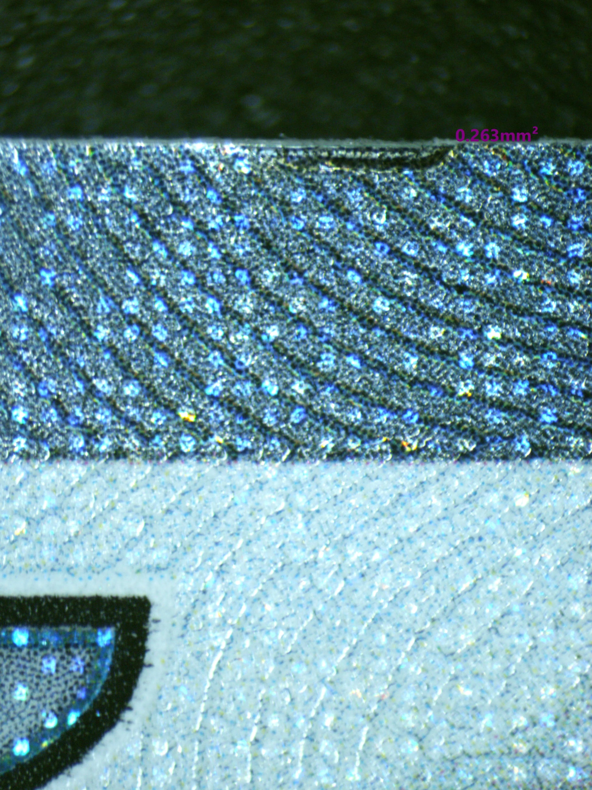 00932 ROARING MOON EX Grading Card