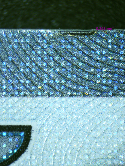 00932 ROARING MOON EX Grading Card