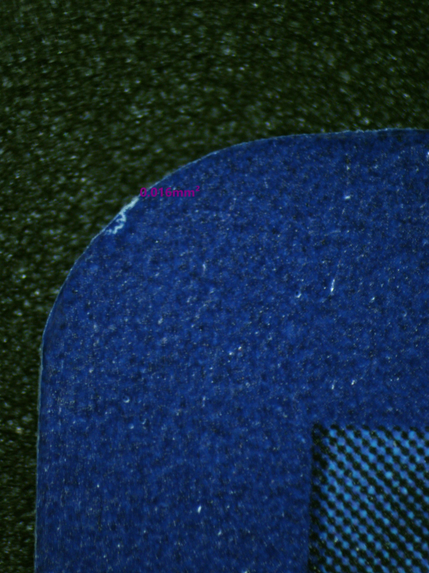 00932 ROARING MOON EX Grading Card