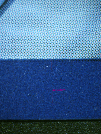 00932 ROARING MOON EX Grading Card