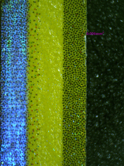 00937 MOLTRES & ZAPDOS & ARTICUNO GX Grading Card