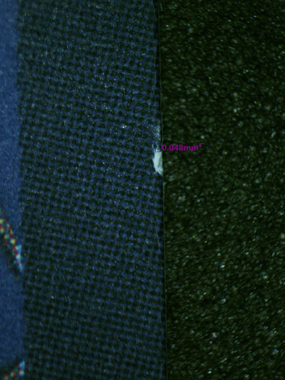 00701 DONQUIXOTE ROSINANTE Grading Card