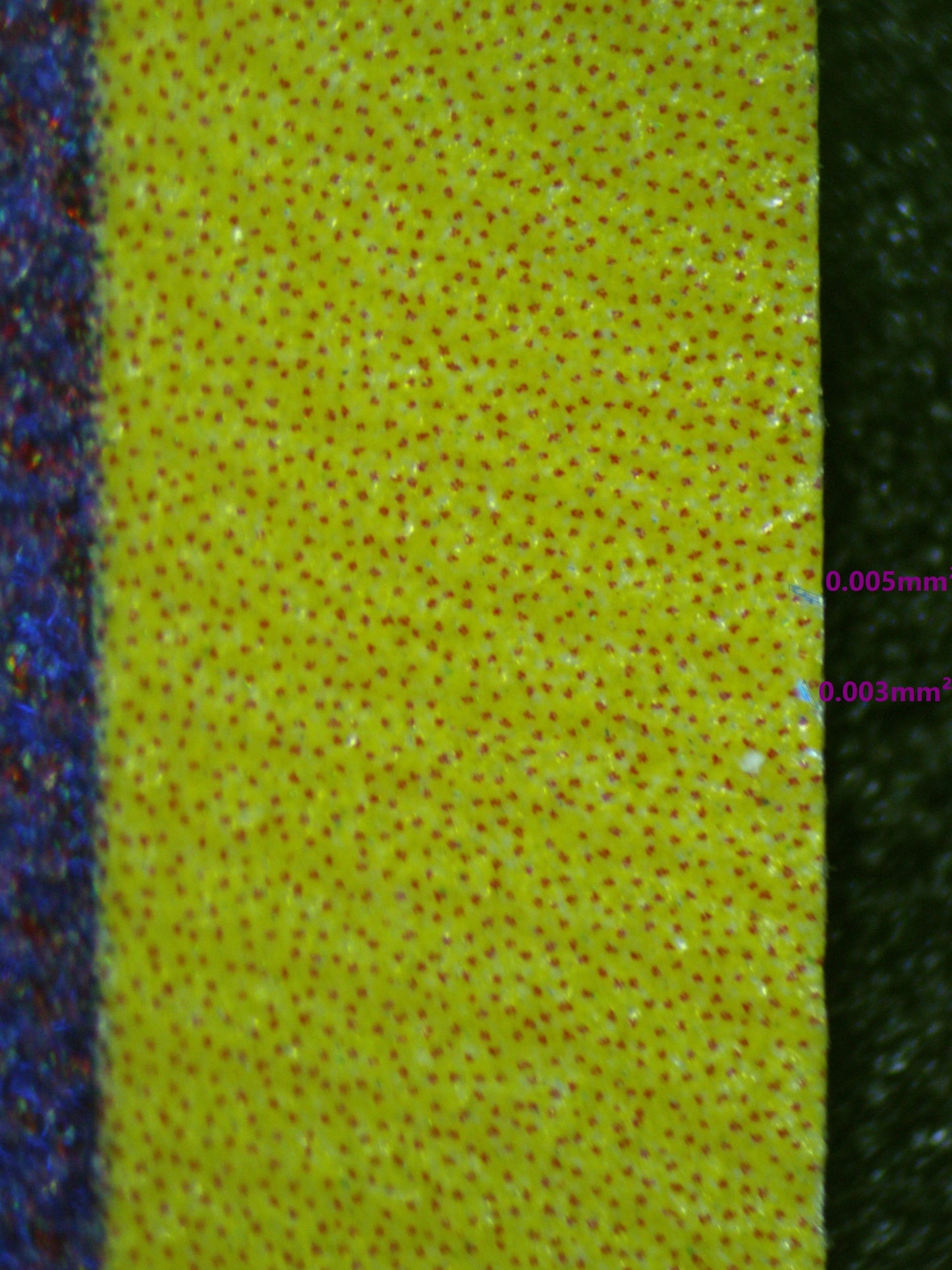 00925 RADIANT ALAKAZAM Grading Card